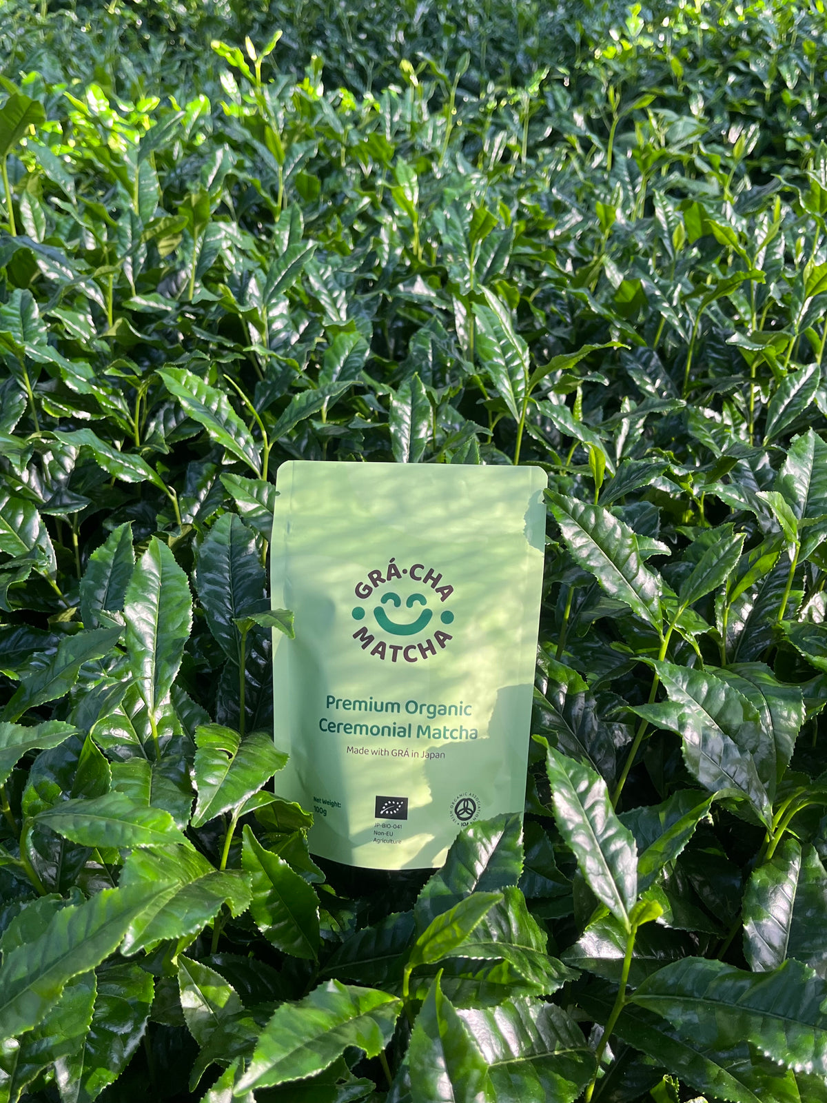 Not all matcha is the same. – GRÁ CHA MATCHA